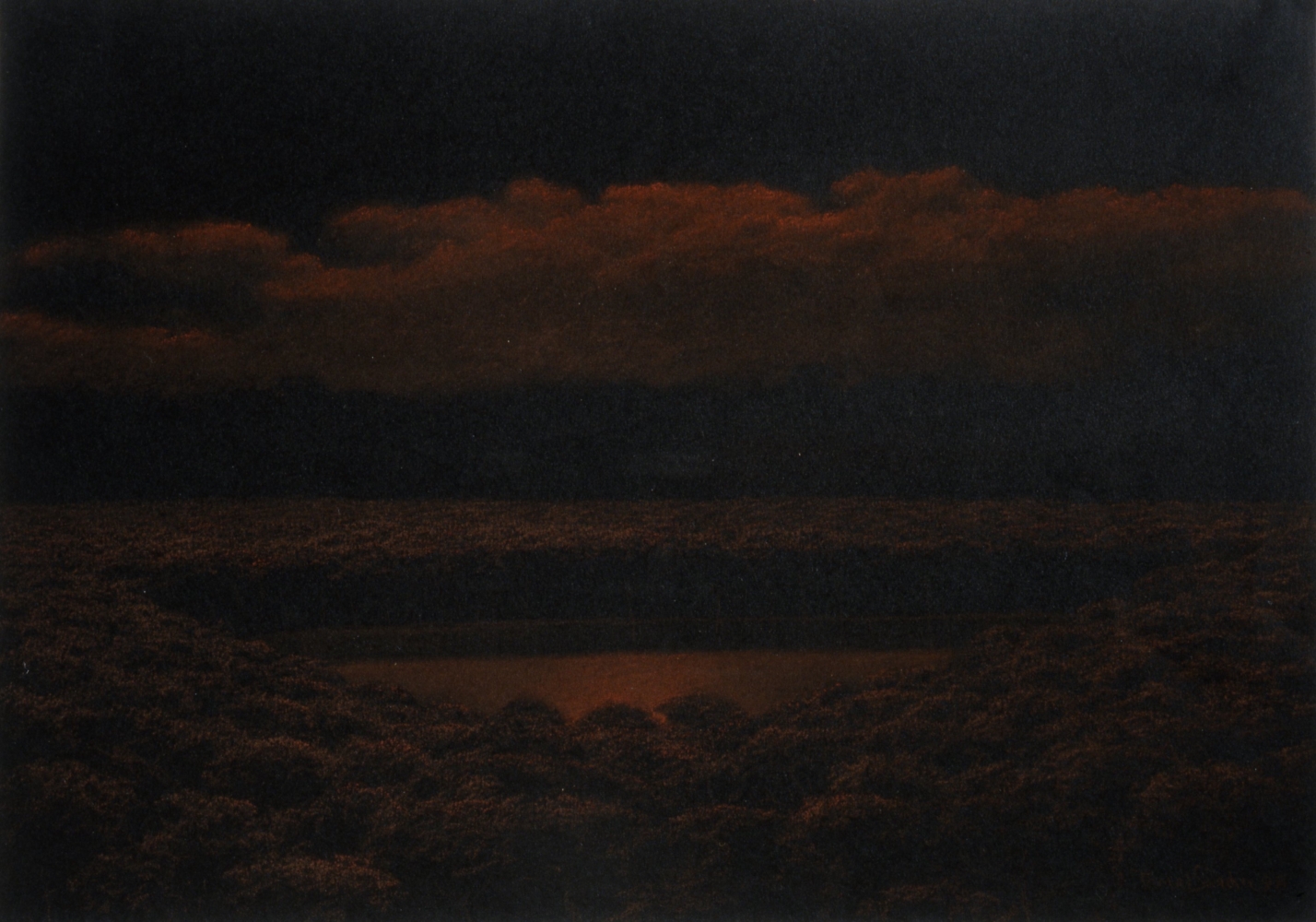 Tom&amp;aacute;s S&amp;aacute;nchez
Laguna (no. 46), 1998
cont&amp;eacute; on black paper
11 3/4&amp;times; 16 1/2 in. / 29.8 &amp;times; 41.9 cm