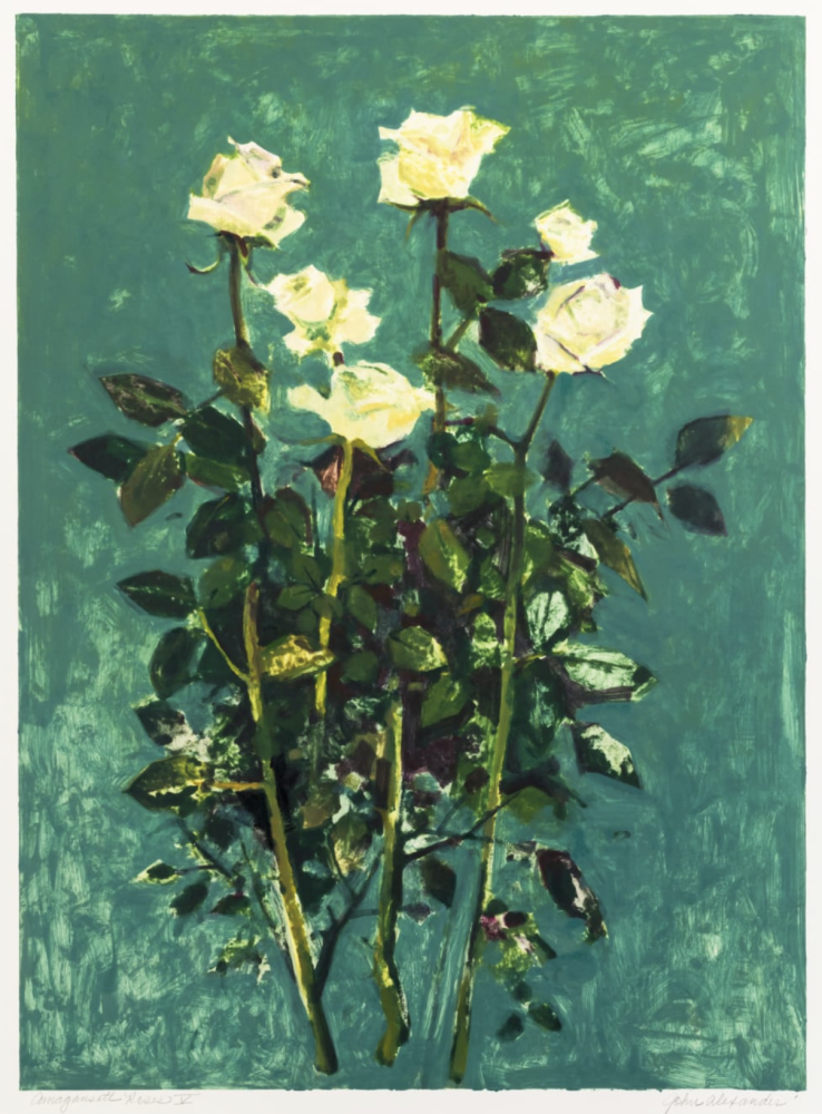 John Alexander Amagansett Roses, 1999
