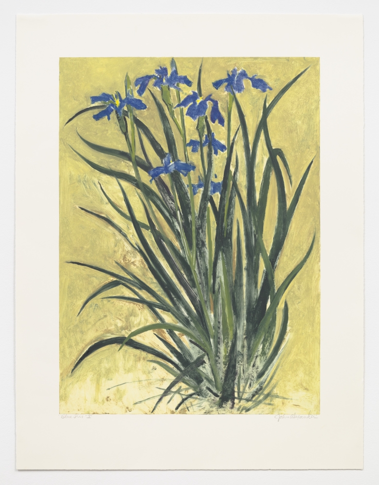 John Alexander
Blue Iris, 1999
monoprint from a series of VI
38 x 29 in. / 96.5 x 73.7 cm