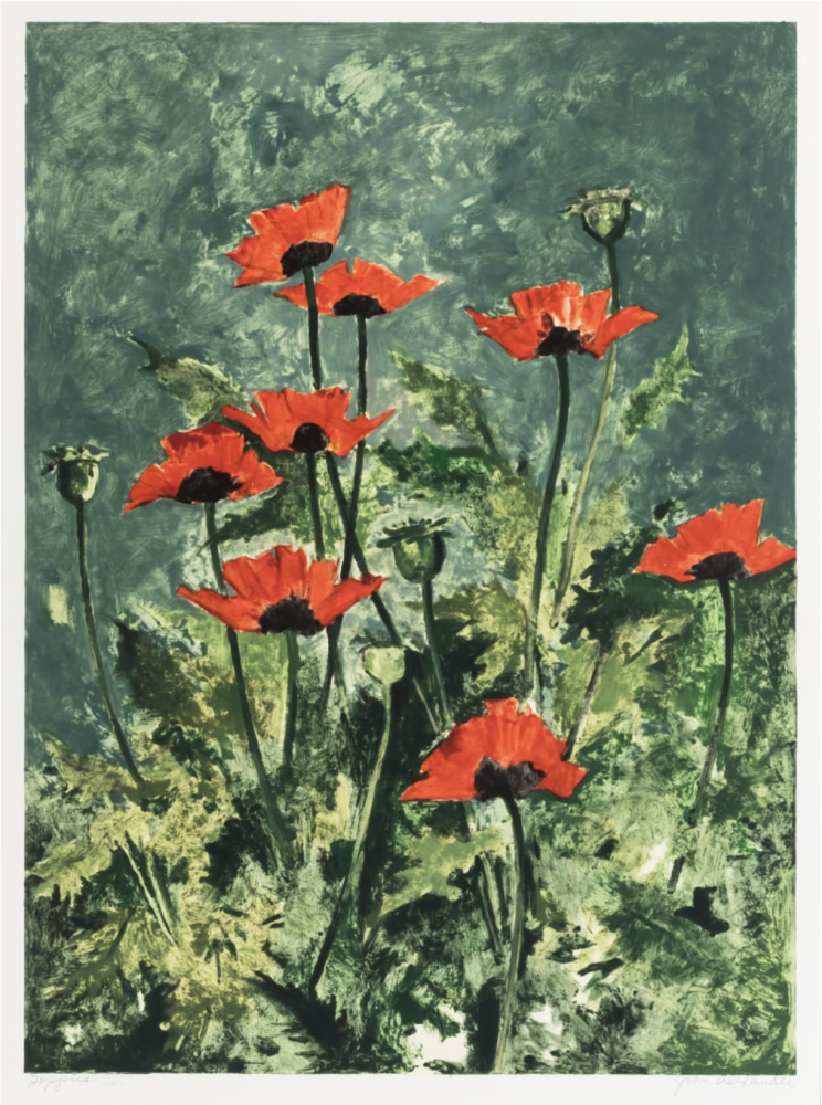 John Alexander
Poppies, 1999

monoprint from a series of V

38 x 29 in. / 96.5 x 73.7 cm