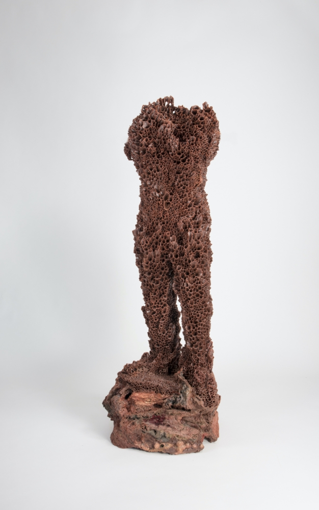 Michele Oka Doner
Without the Reef, 2016-2021
bronze, unique
80 x 28 x 32 in. / 203.2 x 71.1 x 81.3 cm