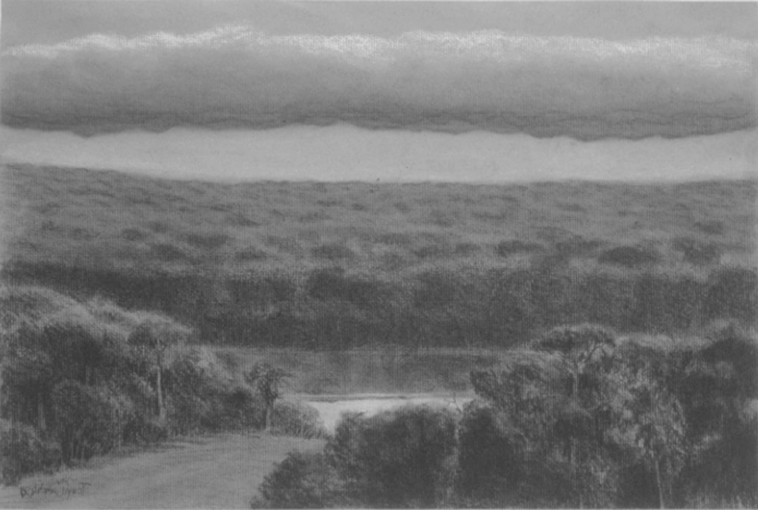 Tom&amp;aacute;s S&amp;aacute;nchez
Sin t&amp;iacute;tulo (no. 4), 1998

pencil on paper

11 1/8 x 17 1/2 in. / 28.3 x 44.5 cm