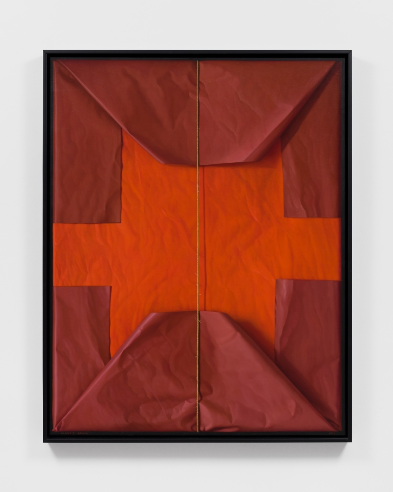 Red Package, 2005

oil on canvas

57 1/4 x 44 7/8 in. / 145.4 x 114 cm