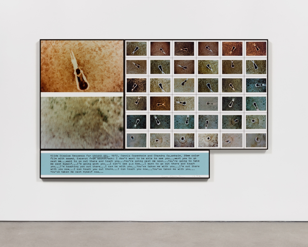 Three paneled piece depicting microscopic slides arranged in a grid with blue text below by Dennis Oppenheim.
