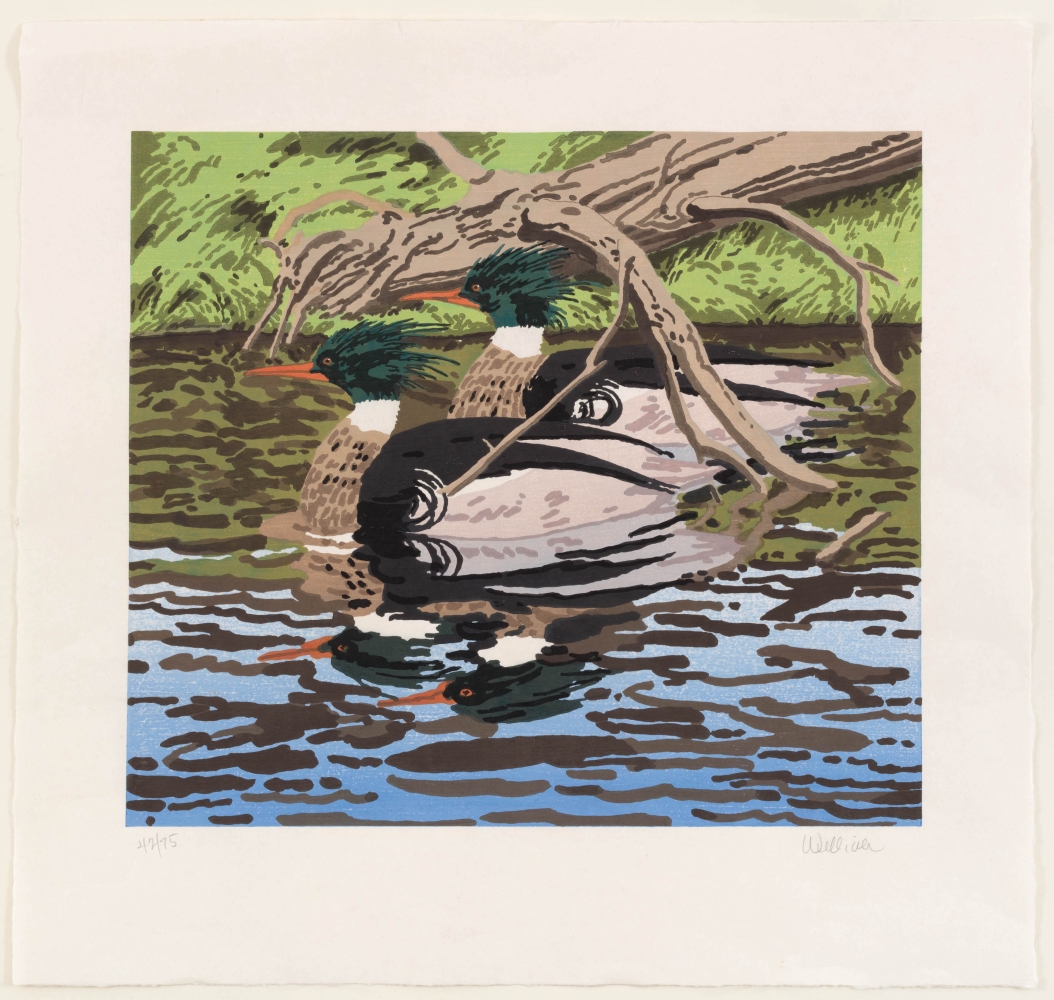 Neil Welliver
Two Mergansers, 1992
color woodcut, edition of 75
30 1/2 x 32 in. / 77.5 x 81.3 cm