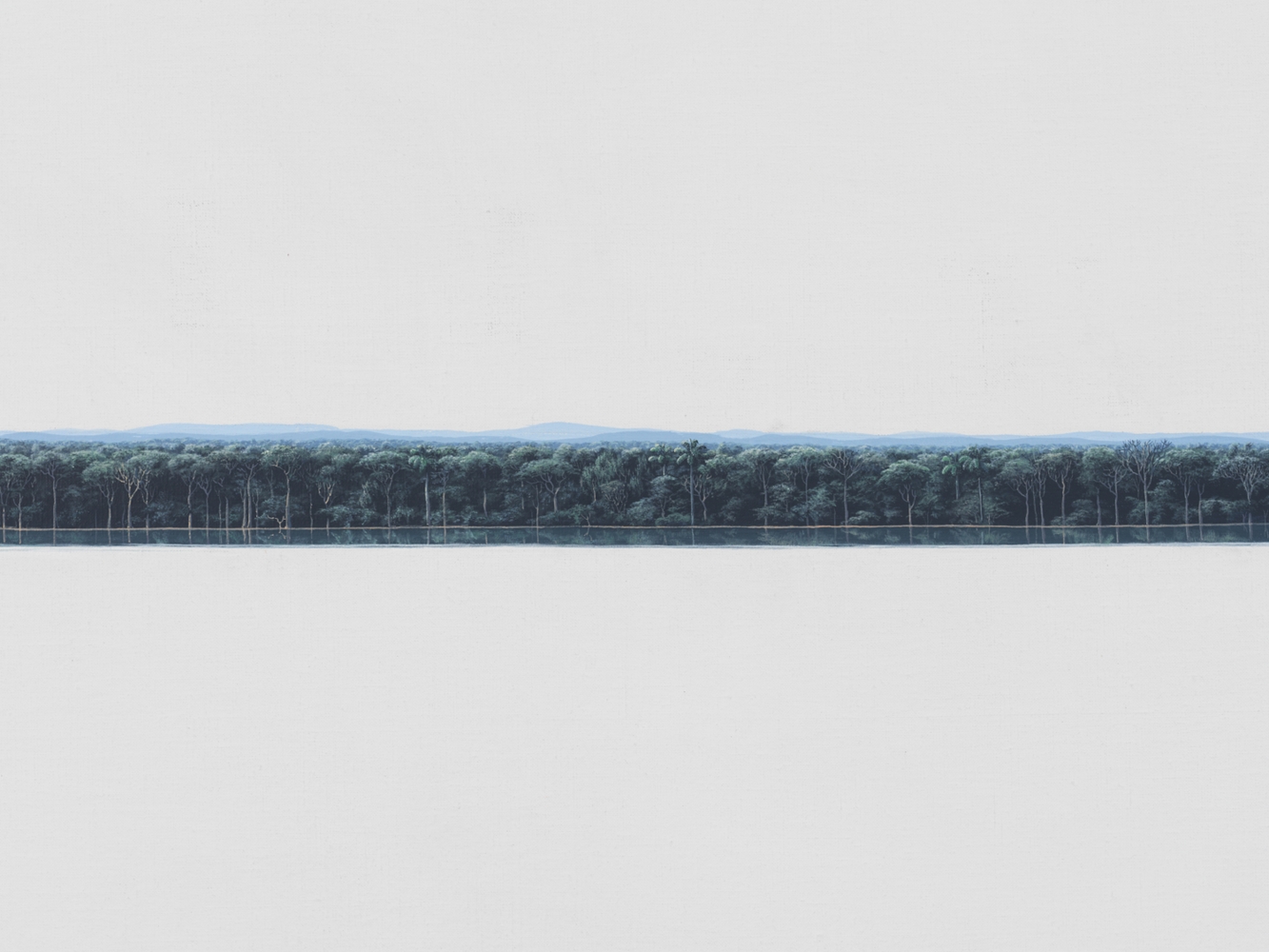 Entre silencios (detail), 2015, acrylic on canvas