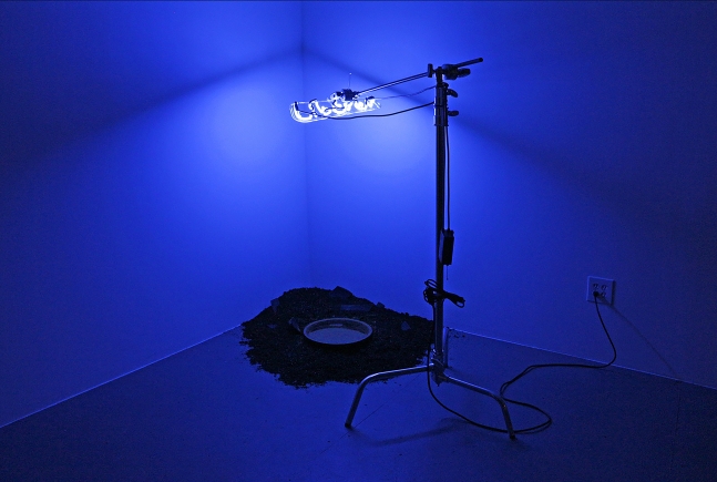 Lib&amp;eacute;rer, 2019

neon, c-stand, ceramic, soil, water

overall dimensions variable