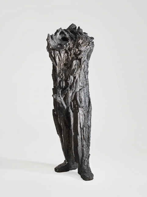 Michele Oka Doner

Mana, 2015
cast bronze, edition of 3
70 x 30 x 21 in. / 177.8 x 76.2 x 53.3 cm